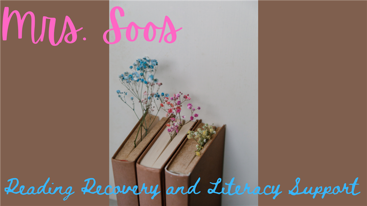Reading Recovery and Literacy Support 